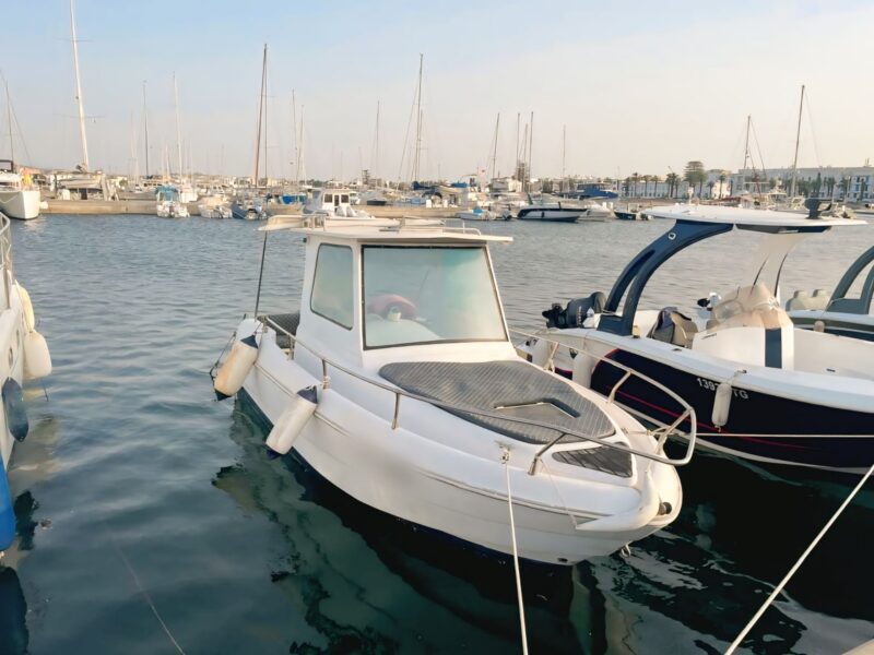 À VENDRE : BATEAU PÊCHE-PROMENADE 6,35 m – Rénové à neuf, prêt à naviguer !