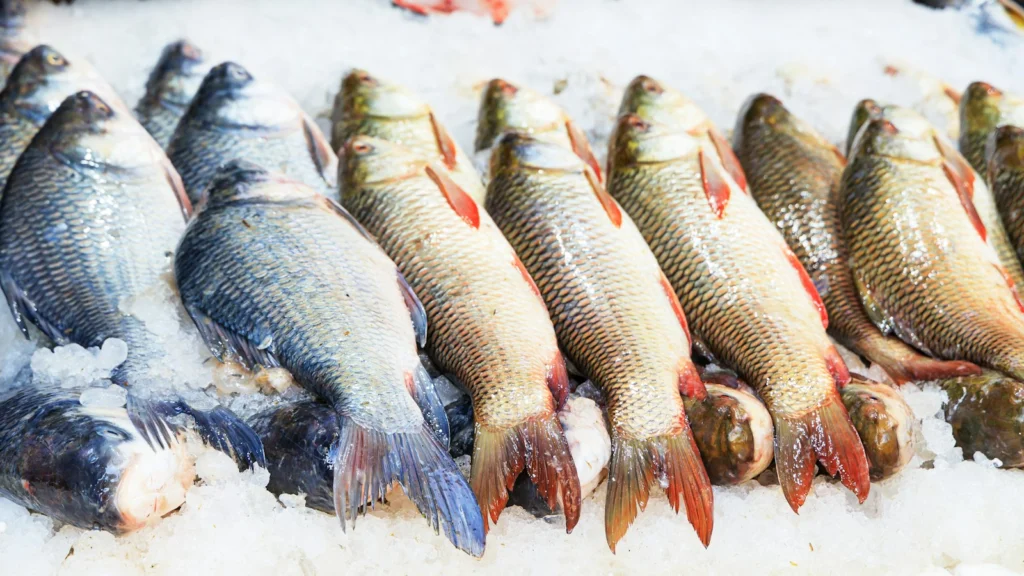 Poissons frais posés sur de la glace