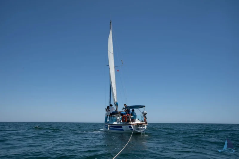 ⛵À VENDRE (Port El Kantaoui) : Voilier 9m70 avec Congé Commercial + sa place de port. Moteur Volvo 45CV entièrement rénové . Prêt pour projet touristique !
