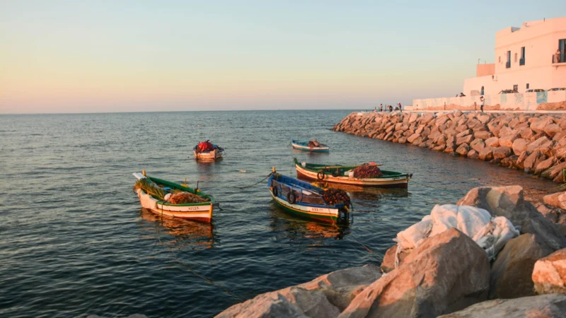 Bateaux dans un petit port de pêche de Mahdia