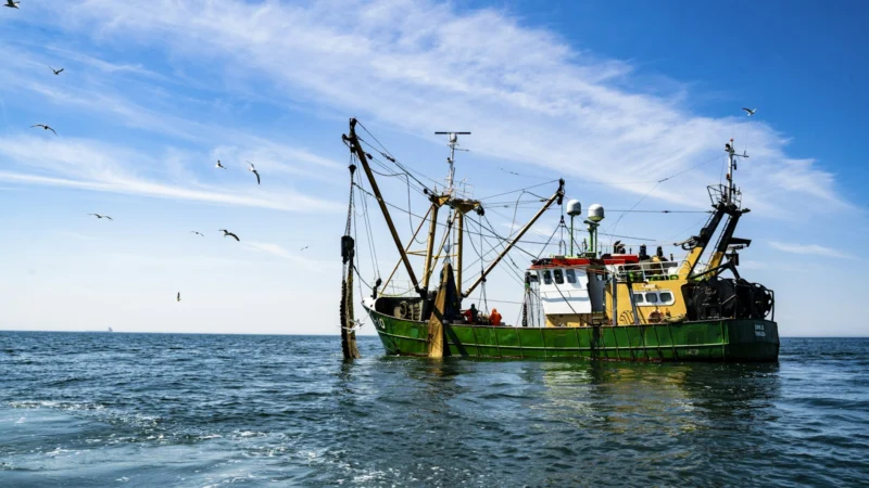 Chalutier de pêche en mer sous un ciel bleu