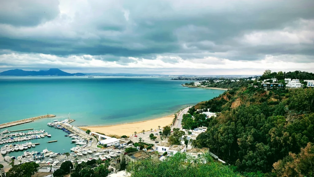 Vue sur une baie avec un port de plaisance, une plage et des collines boisées