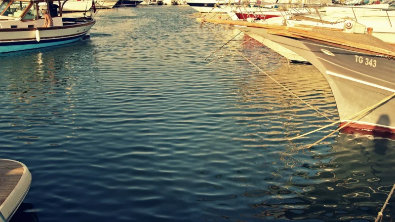 Bateaux de plaisance amarrés au port de Sidi Bou Saïd