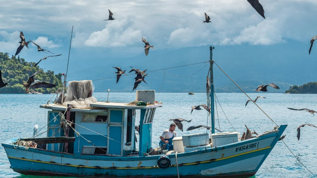 Bateau de pêche en mer entouré de mouettes