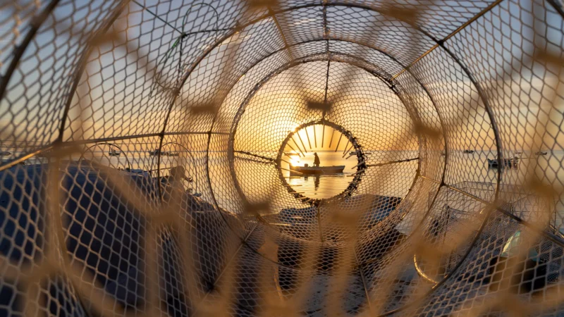 Pêcheur rentrant au port au lever du jour à Kerkennah