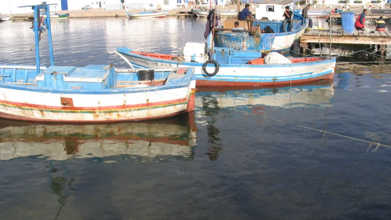 Bateaux de pêche et de plaisance amarrés dans un port de Djerba